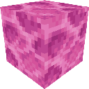 Brain Coral Block