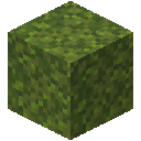 Moss Block