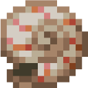 Nautilus Shell