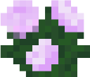 Peony