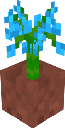 Potted Blue Orchid