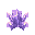 Amethyst Cluster