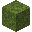 Moss Block