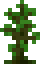 Jungle Sapling