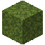 Moss Block